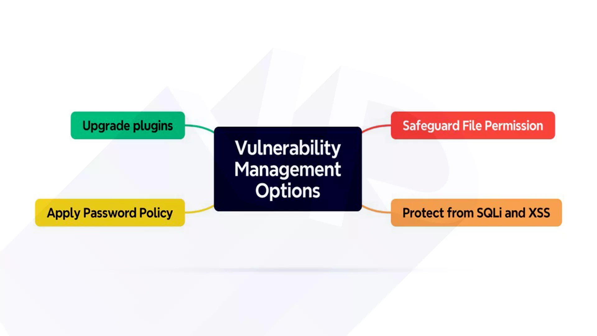 WordPress Vulnerability management options